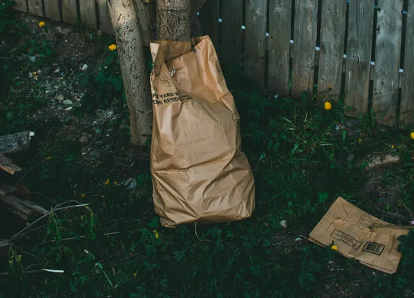 A filled brown paper yard-waste bag standing under a tree next to a wooden fence